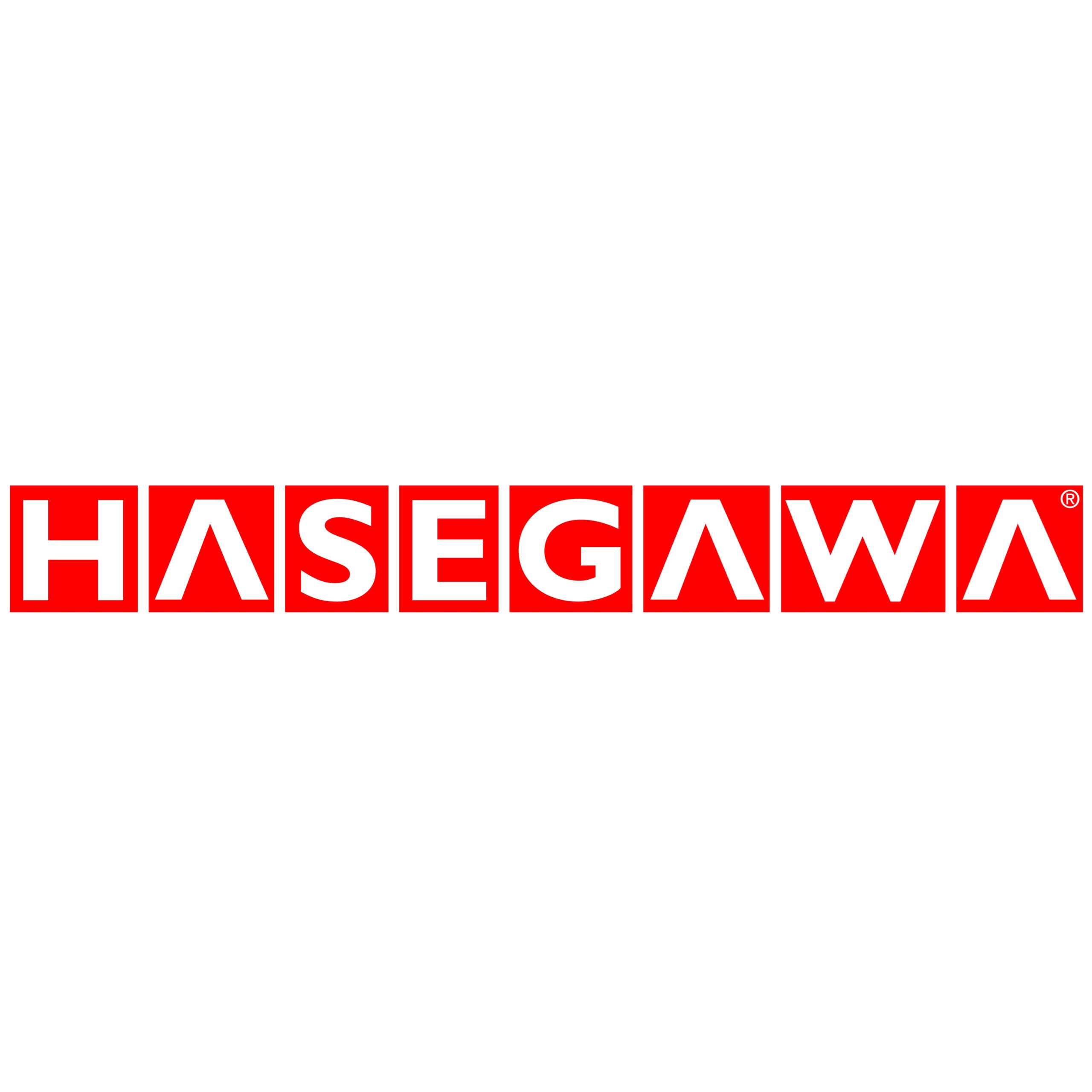 長谷川電機工業株式会社